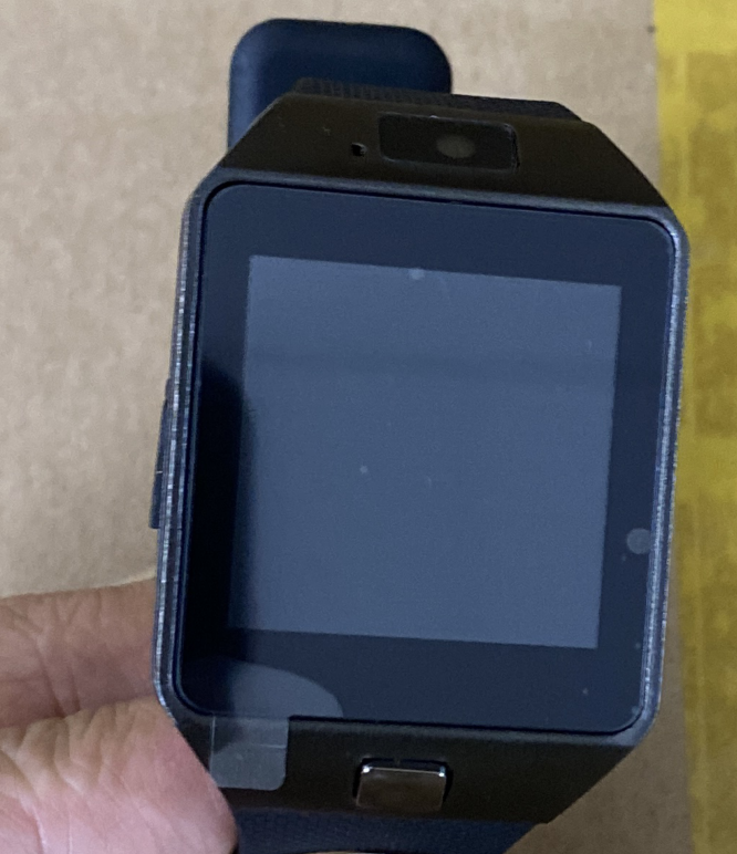 Smart Watch DZ09